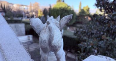 Авто-пешеходная экскурсия из Севастополя (фото 49)