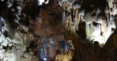 Авто-пешеходная экскурсия из Симеиза (фото 13)