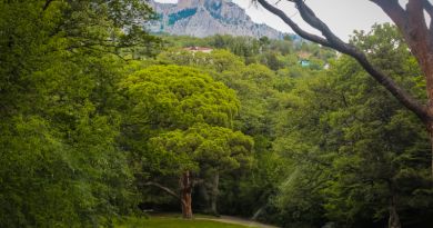 Авто-пешеходная экскурсия из Севастополя (фото 17)