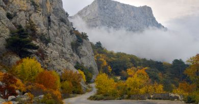 Авто-пешеходная экскурсия из Симеиза (фото 14)
