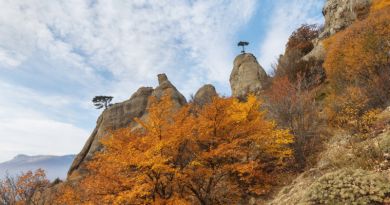 Авто-пешеходная экскурсия из Севастополя (фото 5)