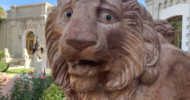 Экскурсия из Севастополя: Тайны Юсуповского и Ливадийского дворцов. Великокн фото 14517