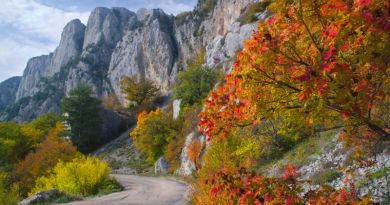 Авто-пешеходная экскурсия из Симеиза (фото 18)