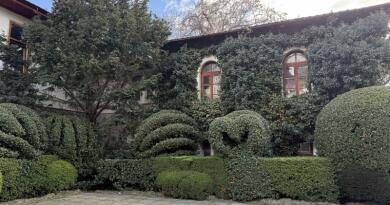 Авто-пешеходная экскурсия из Севастополя (фото 12)